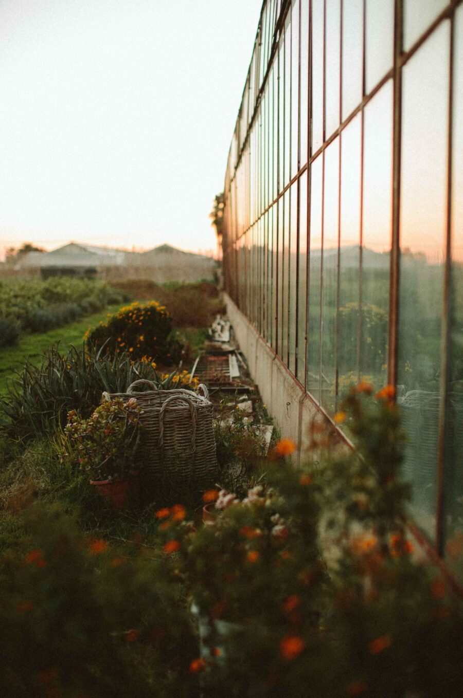 Countryside