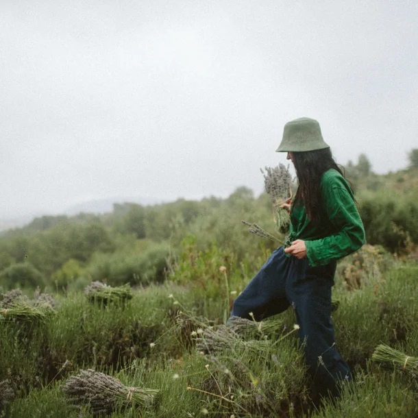 mujer recogiendo lavanda