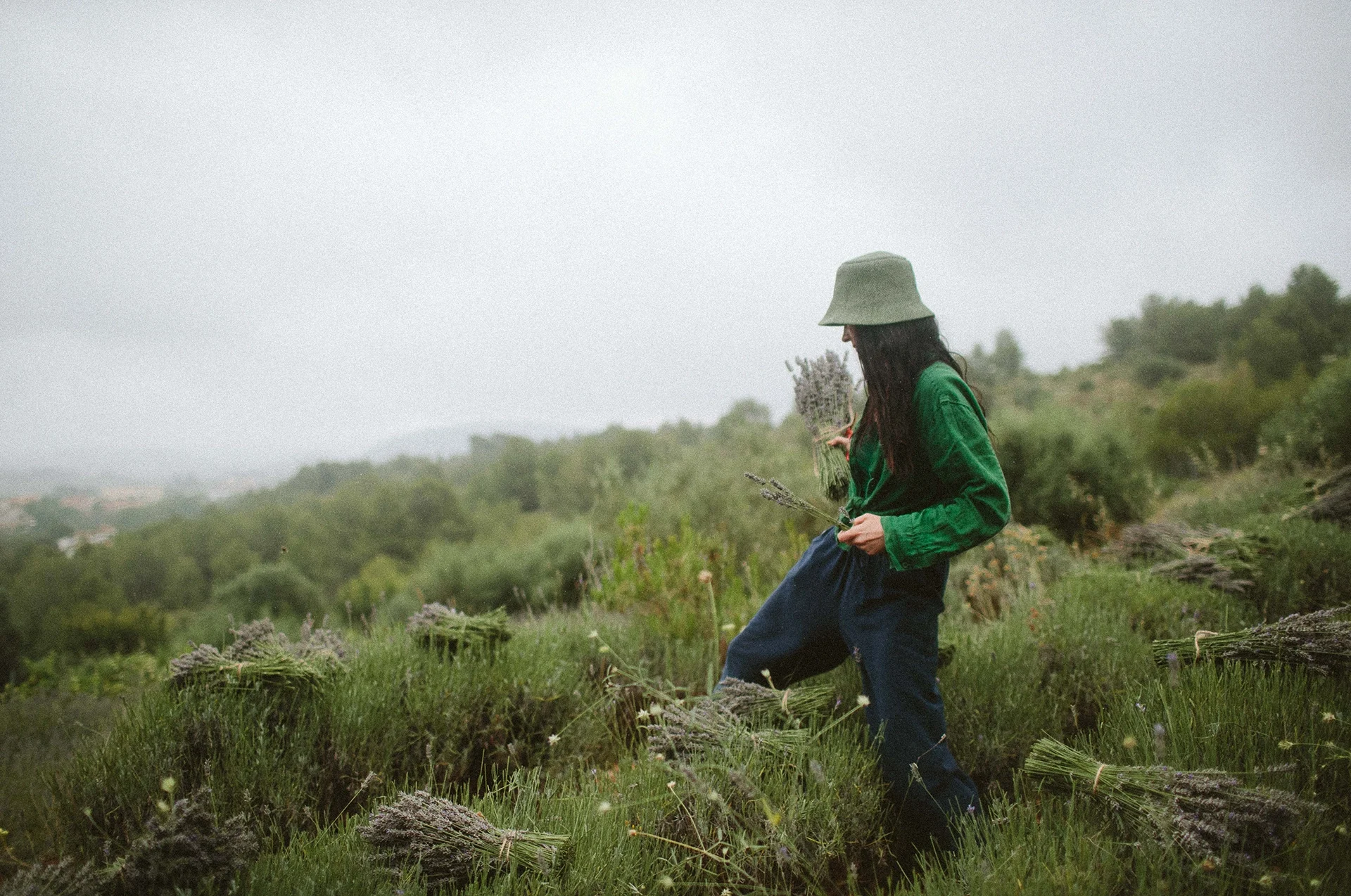 mujer recogiendo lavanda