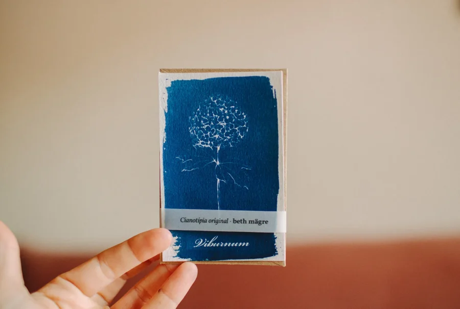 Cyanotype - Herbarium
