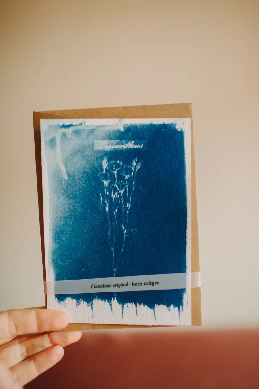 Cyanotype - Herbarium II