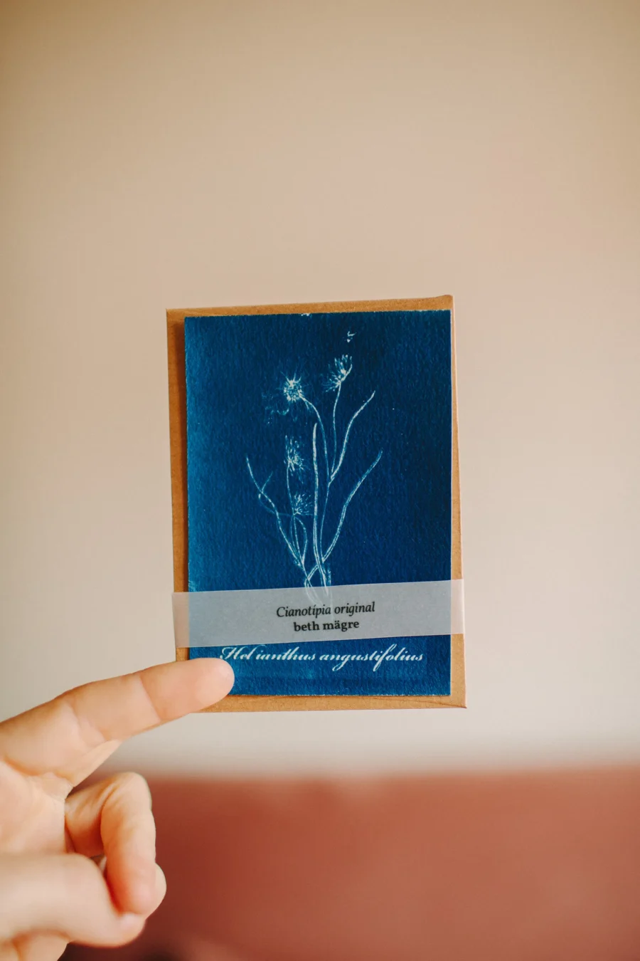 Cyanotype - Herbarium III